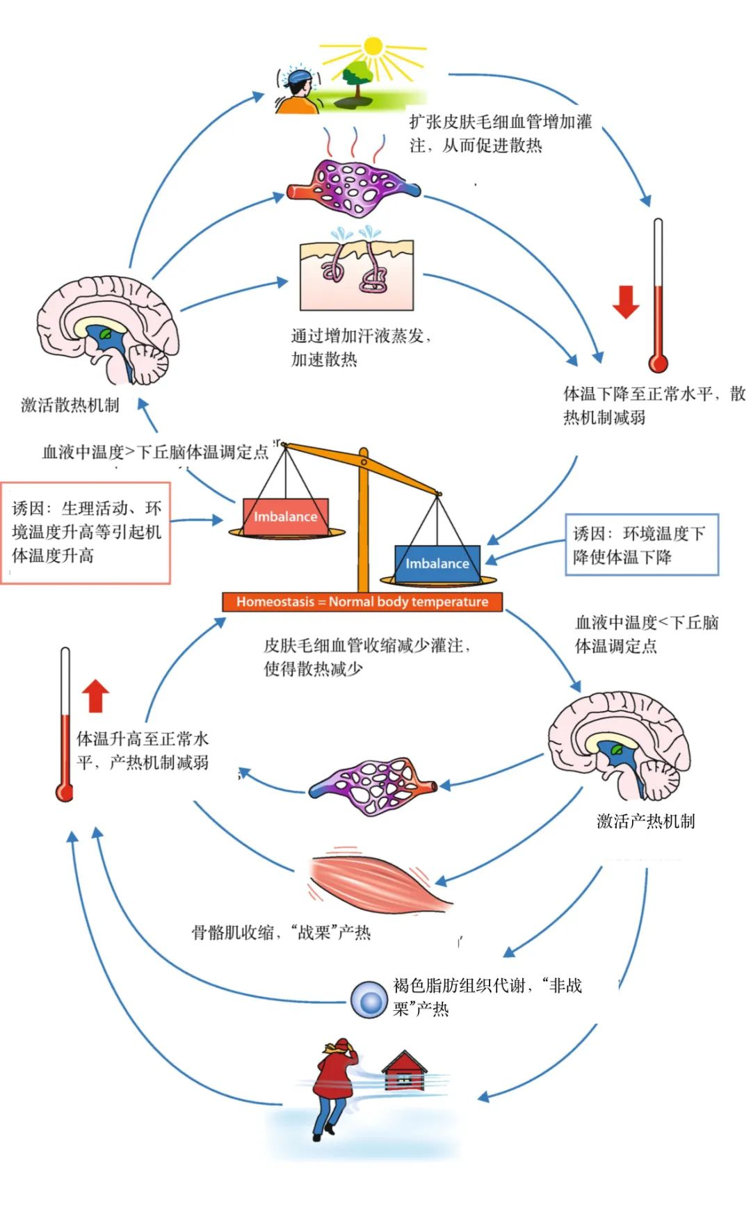 990888藏宝阁香港剧